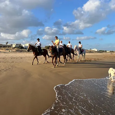 Frontemare Tre Fontane