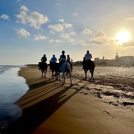 Apartament Frontemare *